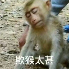 成为销量第一后，这国产手机终于要彻底变了